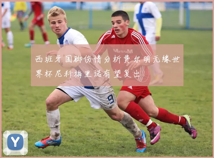 西班牙国脚伤情分析费尔明无缘世界杯尼科梅里诺有望复出